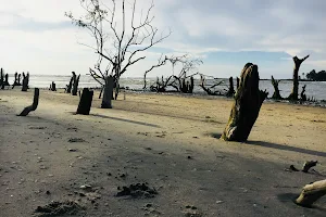Kolavi Beach image