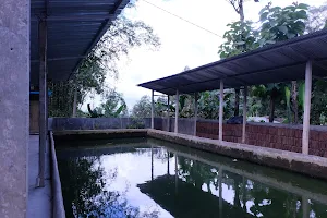 Kolam Kidangan image