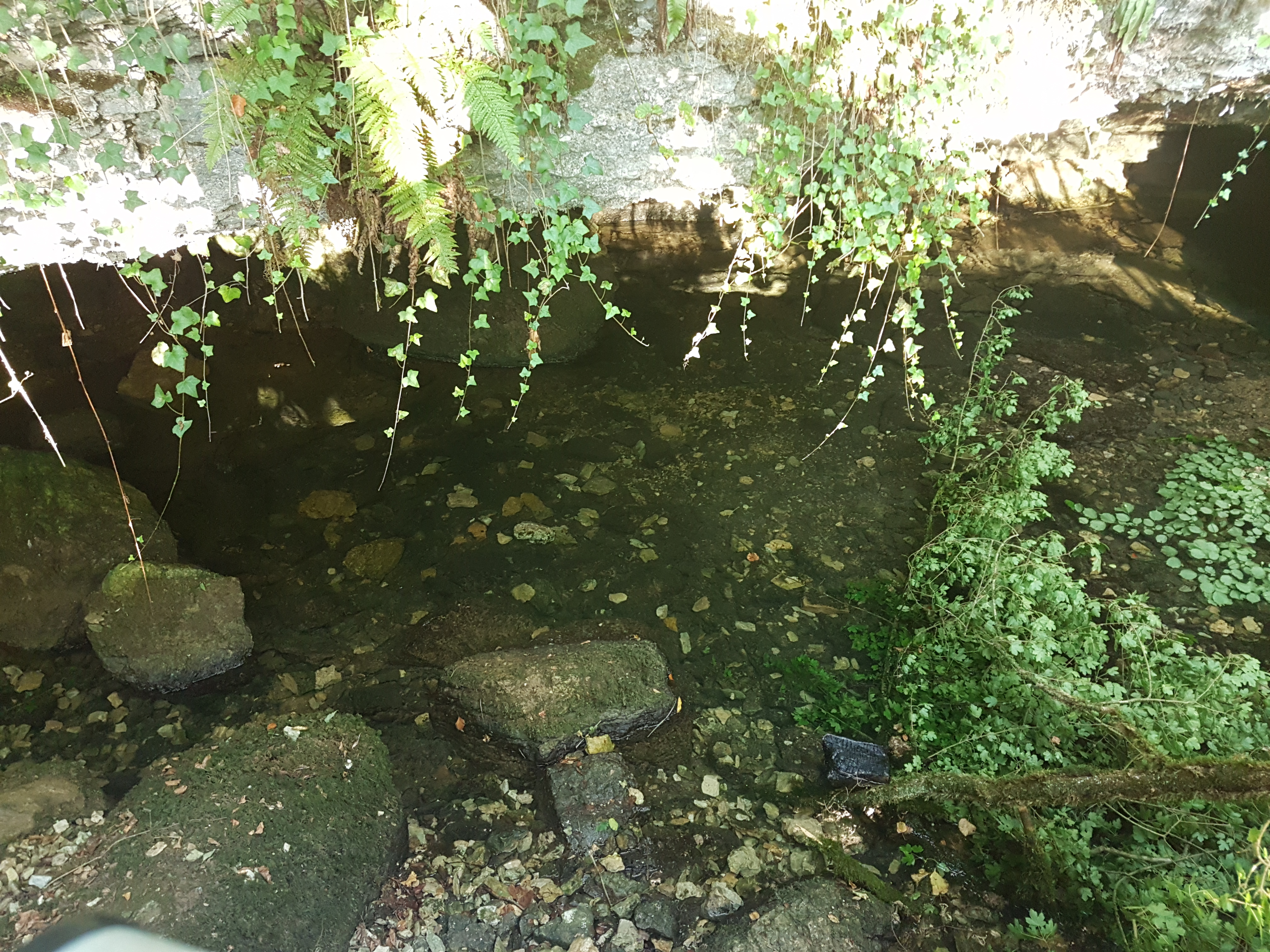 Photo n° 22 de l'avis de Stéphane.a fait le 19/08/2018 à 18:55
