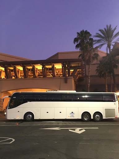 Odyssey Bus