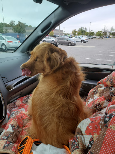 Pet Supply Store «PetSmart», reviews and photos, 9921 Pulaski Hwy, Baltimore, MD 21220, USA