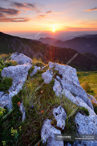 Park «Browns Point Light House Park», reviews and photos, 201 Tulalip St NE, Tacoma, WA 98422, USA