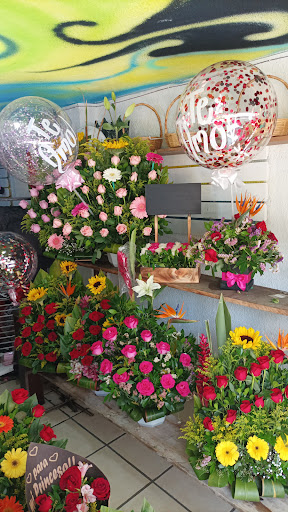 Pat Florería. florería en  en la zona Villa de las Flores