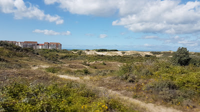 Dunes du Perroquet à Bray-Dunes