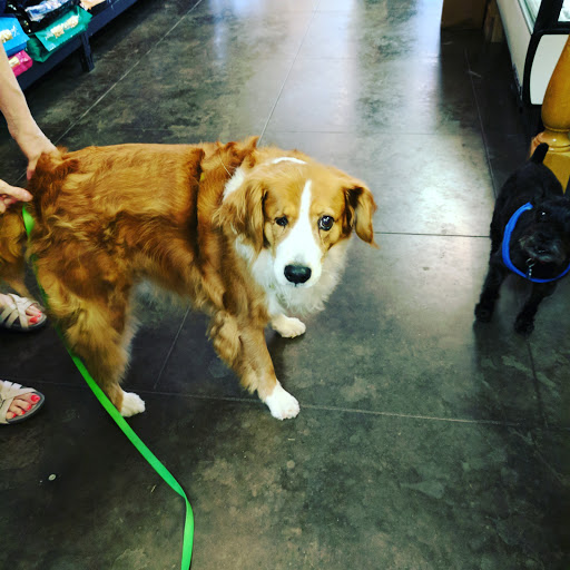 Pet Supply Store «Bow Wow & Meow», reviews and photos, 11607 Maumelle Blvd, North Little Rock, AR 72113, USA