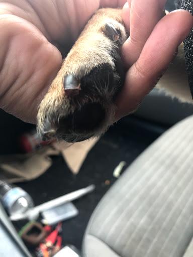 Pet Supply Store «Petco Animal Supplies», reviews and photos, 10383 Reisterstown Rd, Owings Mills, MD 21117, USA