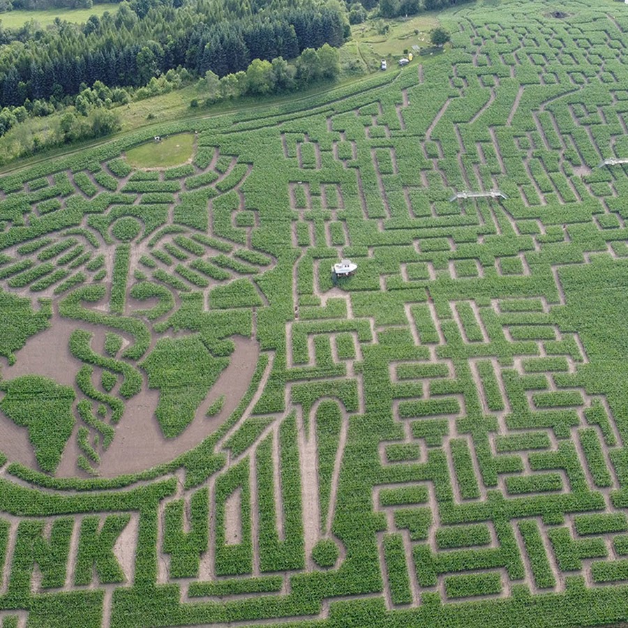 Great Vermont Corn Maze