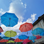 Photo n°2 de l'avis de Roberta.o fait le 21/08/2021 à 13:16 sur le  Trattoria Il Parco Della Sila à Longobucco