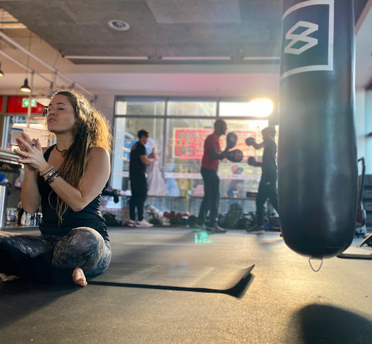 Comments and reviews of The Secret Boxing Gym