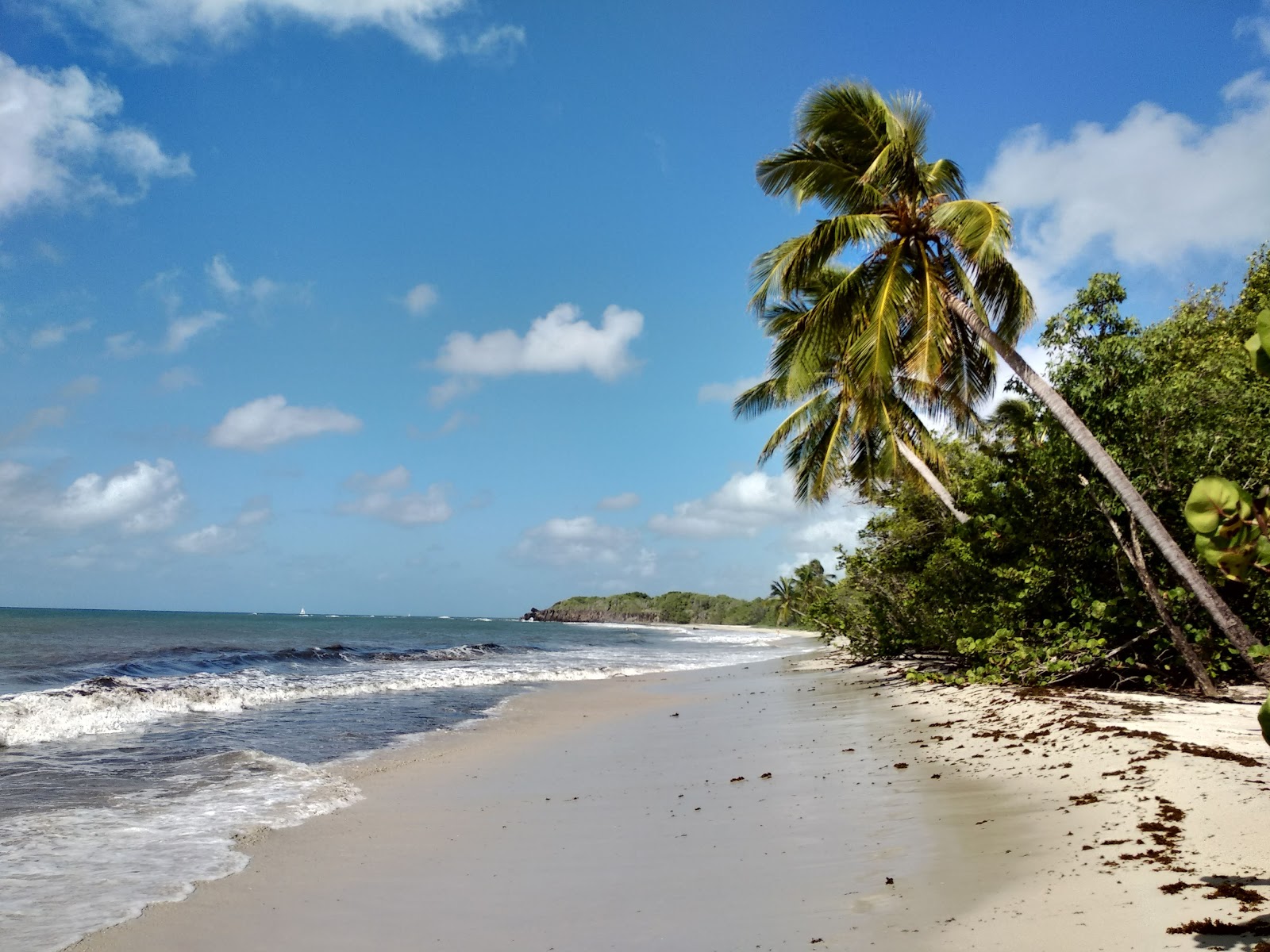 Photo de Grande terre beach entouré de montagnes