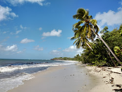 Photo de Grande terre beach entouré de montagnes