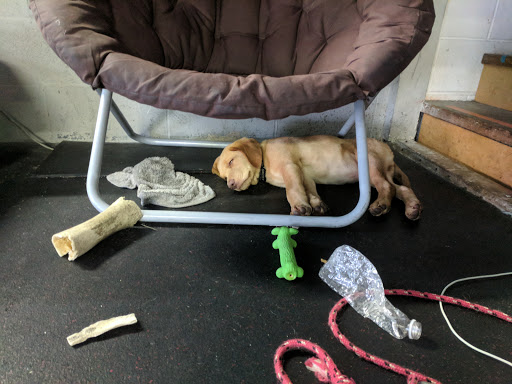 Gym «CrossFit Zionsville», reviews and photos, 10668 Andrade Dr, Zionsville, IN 46077, USA