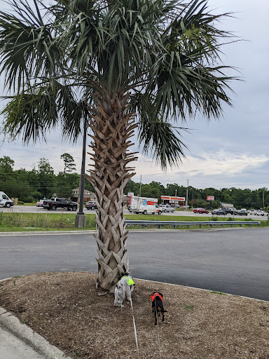 Pet Supply Store «PetSmart», reviews and photos, 5226 S College Rd, Wilmington, NC 28412, USA