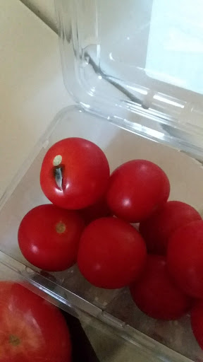 Grocery Store «Giant», reviews and photos, 4301 Concord Pike, Wilmington, DE 19803, USA