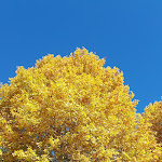 Photo n°3 de l'avis de Ale.e fait le 19/11/2022 à 14:09 sur le  Fiori e Caffè à Turin