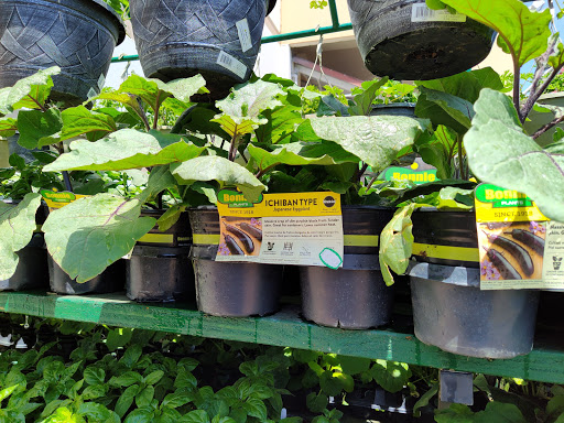 Home Improvement Store «The Home Depot», reviews and photos, 975 S De Anza Blvd, San Jose, CA 95129, USA