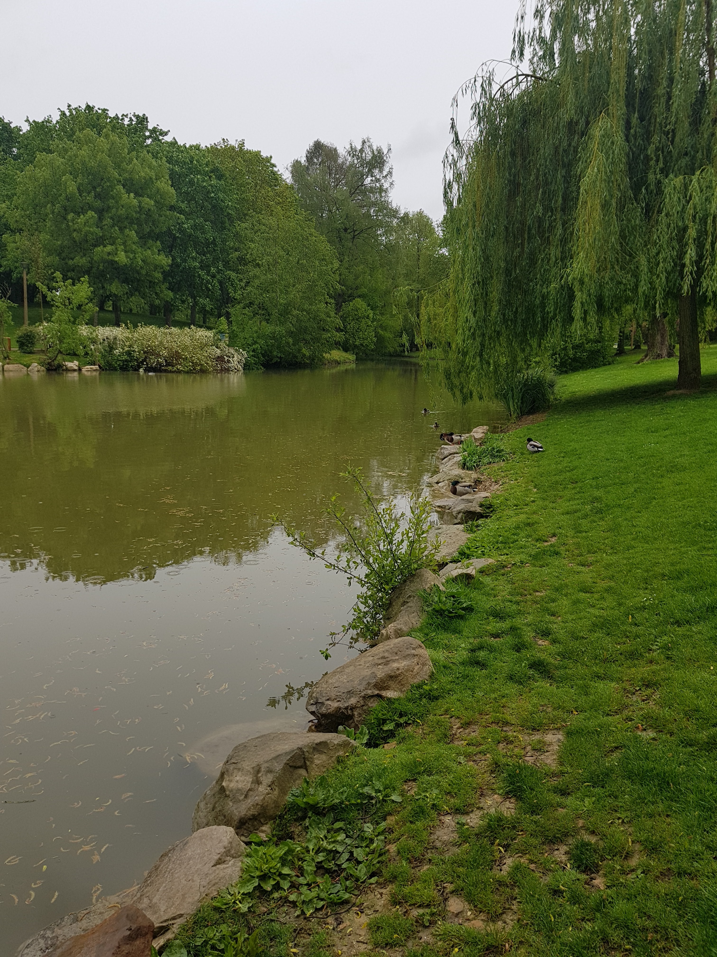 Photo n° 4 de l'avis de Chantal.o fait le 06/05/2019 à 06:42