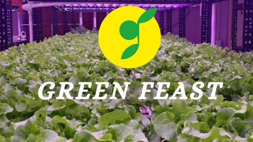Green Feast