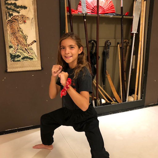 Martial Arts School «Shaolin Wu-Yi Institute», reviews and photos, 3100 Independence Pkwy #316, Plano, TX 75075, USA