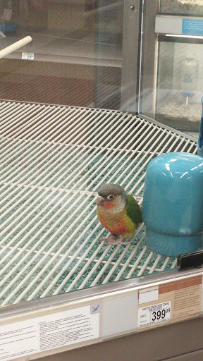 Pet Supply Store «Petco Animal Supplies», reviews and photos, 175 Grandview Blvd #600, Madison, MS 39110, USA