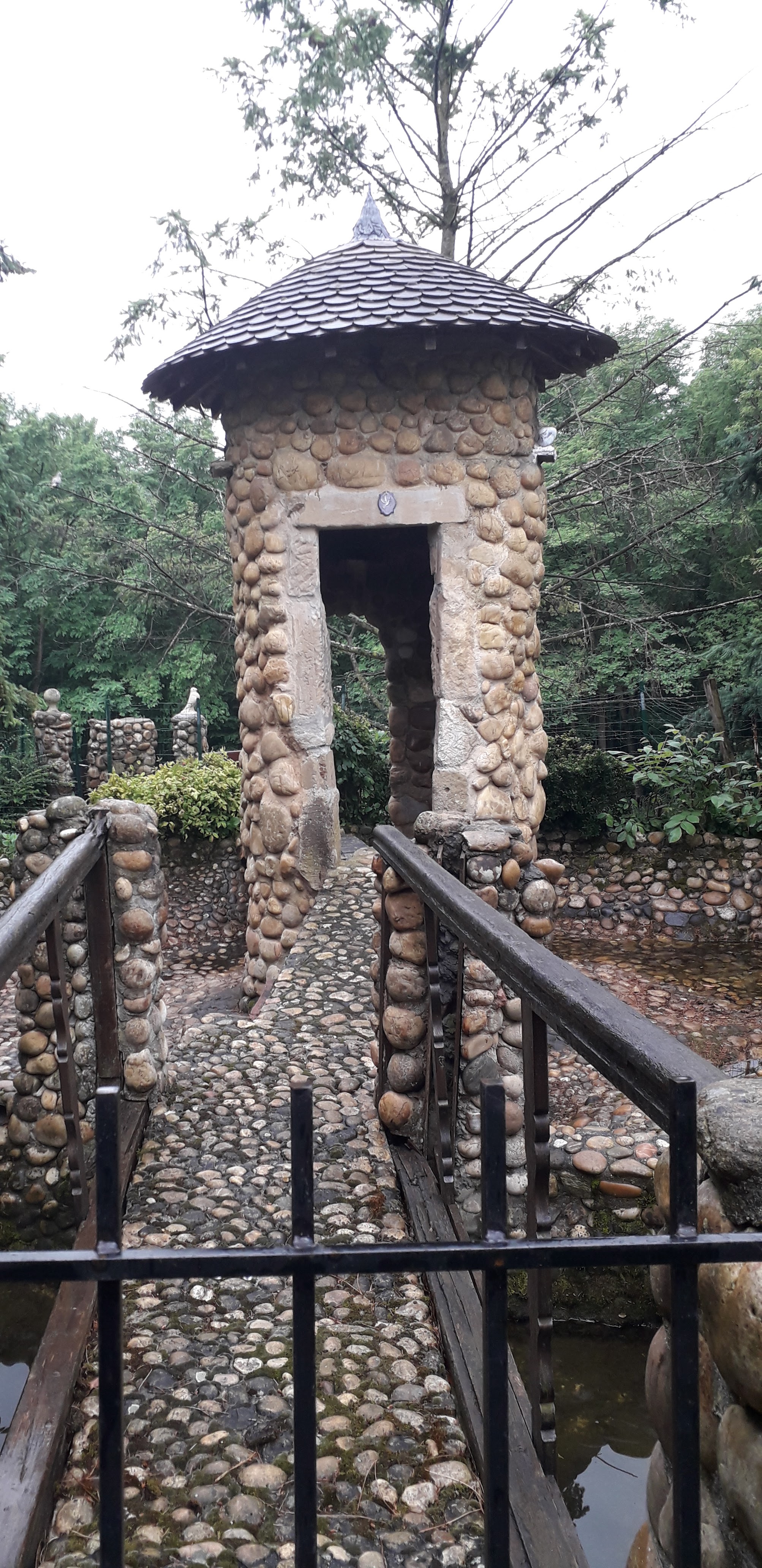 Photo n° 13 de l'avis de juan.e fait le 14/06/2019 à 10:45