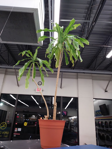 Laundromat «Soaps-N-Suds Laundrymat», reviews and photos, 3600 Holland Road, Virginia Beach, VA 23452, USA