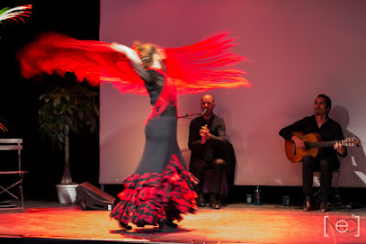 Niño de Gambetta. Chanteur flamenco. Spectacles flamenco.