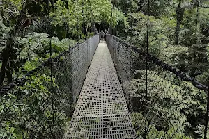 Místico Arenal Hanging Bridges image