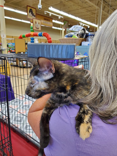 Pet Supply Store «Petco Animal Supplies», reviews and photos, 11111 San Jose Blvd #57, Jacksonville, FL 32223, USA