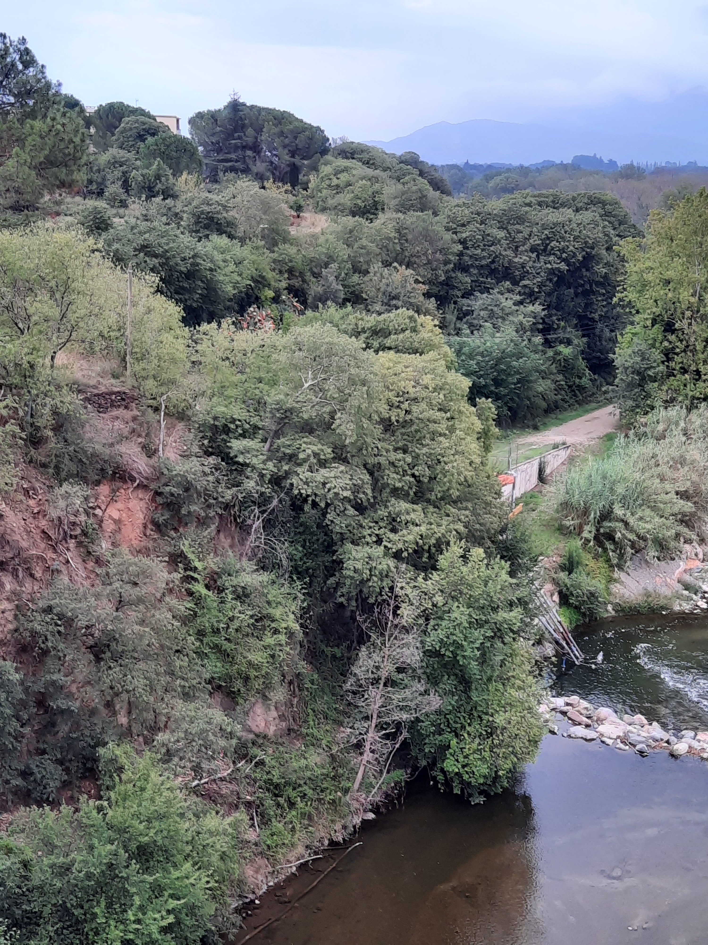 Photo n° 5 de l'avis de Madame.a fait le 15/09/2021 à 18:33