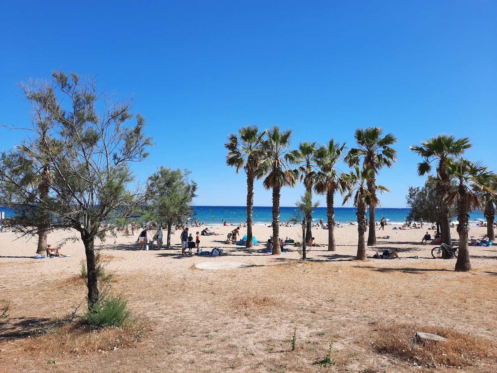 Plage Caouanne photo #9