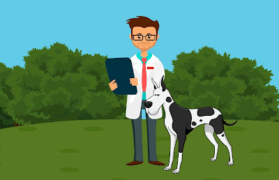 Vetsway, plateforme de recrutement vétérinaire et solution de logiciels vétérinaires à Toulouse