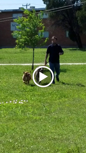 City Park «Shearer Hills/Ridgeview Walking Trail - Olmos Basin Park», reviews and photos, 101 Jackson Keller Rd, San Antonio, TX 78216, USA