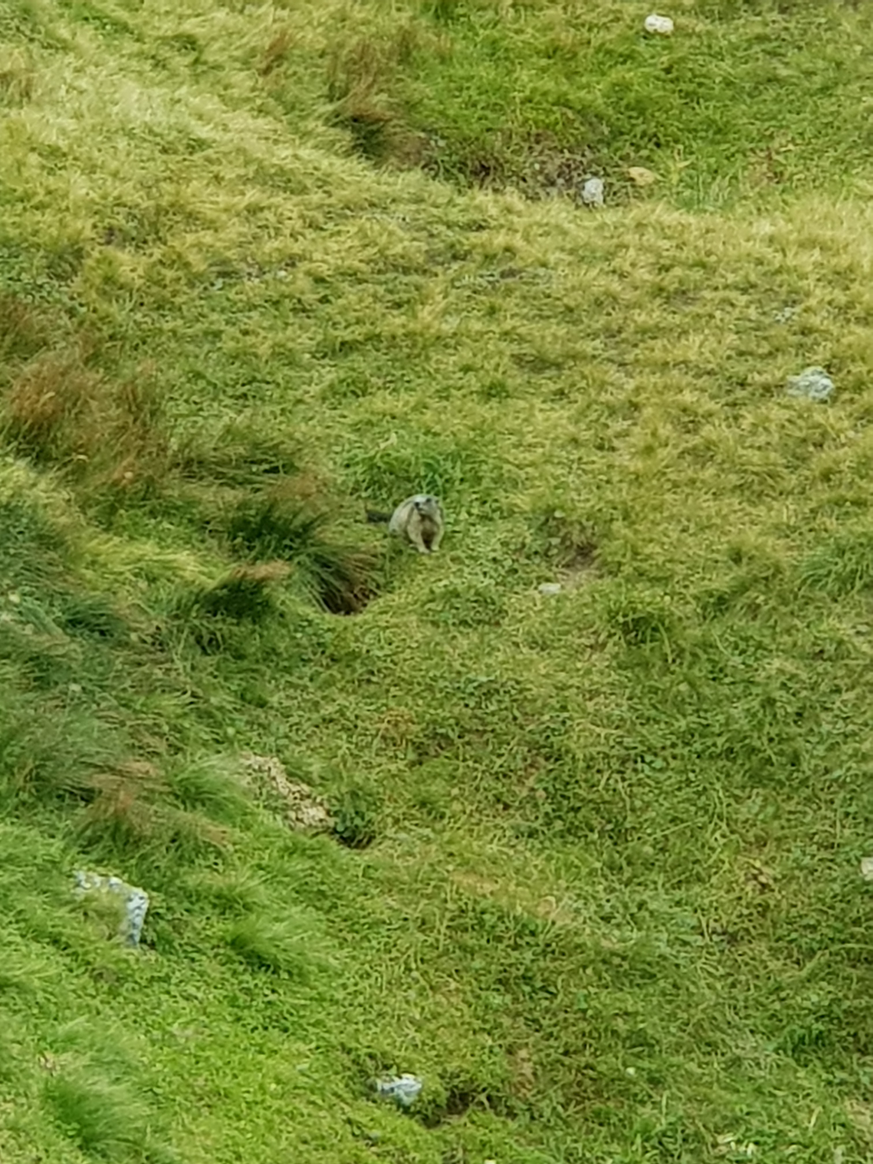 Photo n° 2 de l'avis de Marie.h fait le 04/09/2018 à 15:00