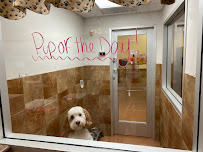 PetSmart - Photo 5 - Car repair in Darien, IL, Naperville