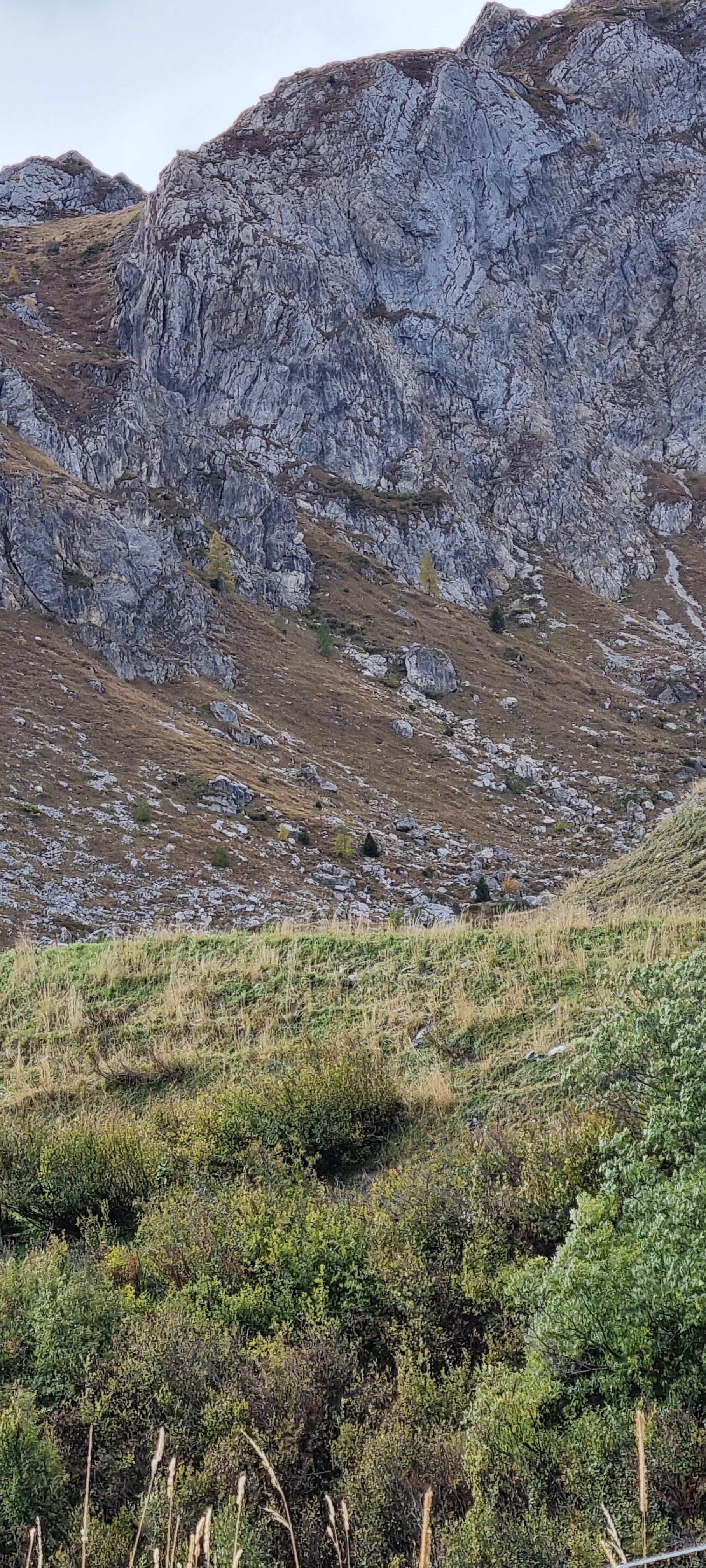 Photo n° 48 de l'avis de Raymond.a fait le 24/10/2023 à 19:44