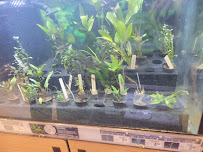 Petco - Photo 8 - Car repair in Roseville, MN, Minneapolis