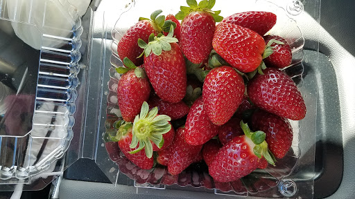 Produce Wholesaler «Goodson Farms Inc.», reviews and photos, 12405 Balm Rd, Balm, FL 33503, USA