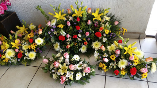 Florería Santa Lucia – Durango