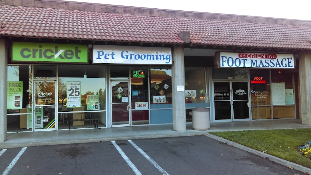 Pet Groowing