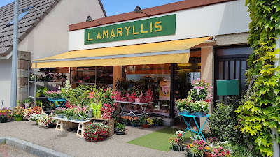 L'Amaryllis à Remiremont