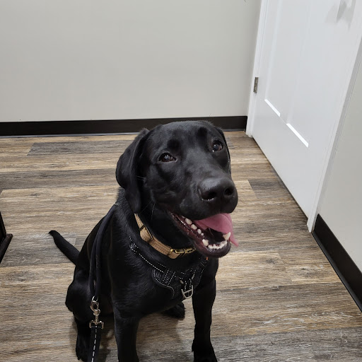 Bowling Green Veterinary Clinic