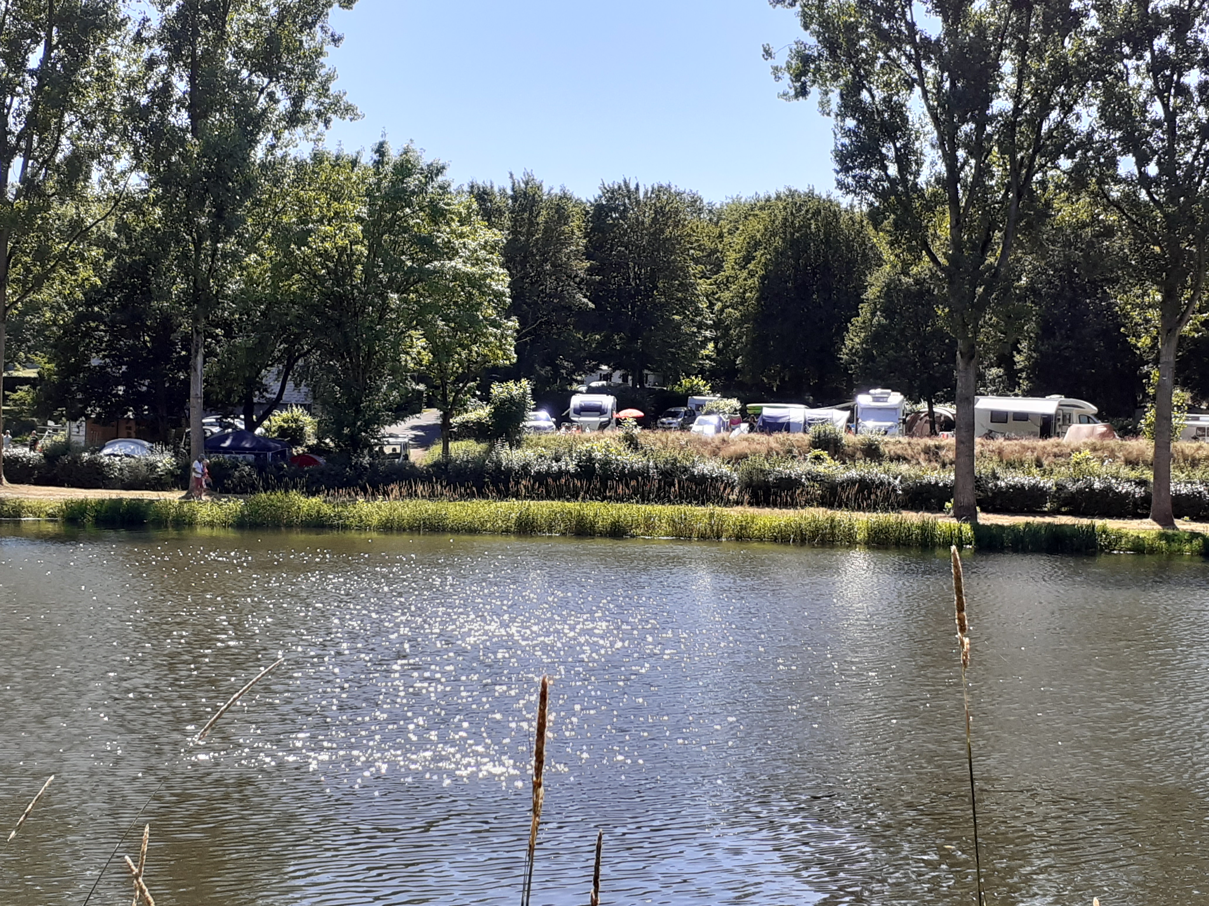 Photo n° 2 de l'avis de Virginie.e fait le 14/07/2020 à 10:32