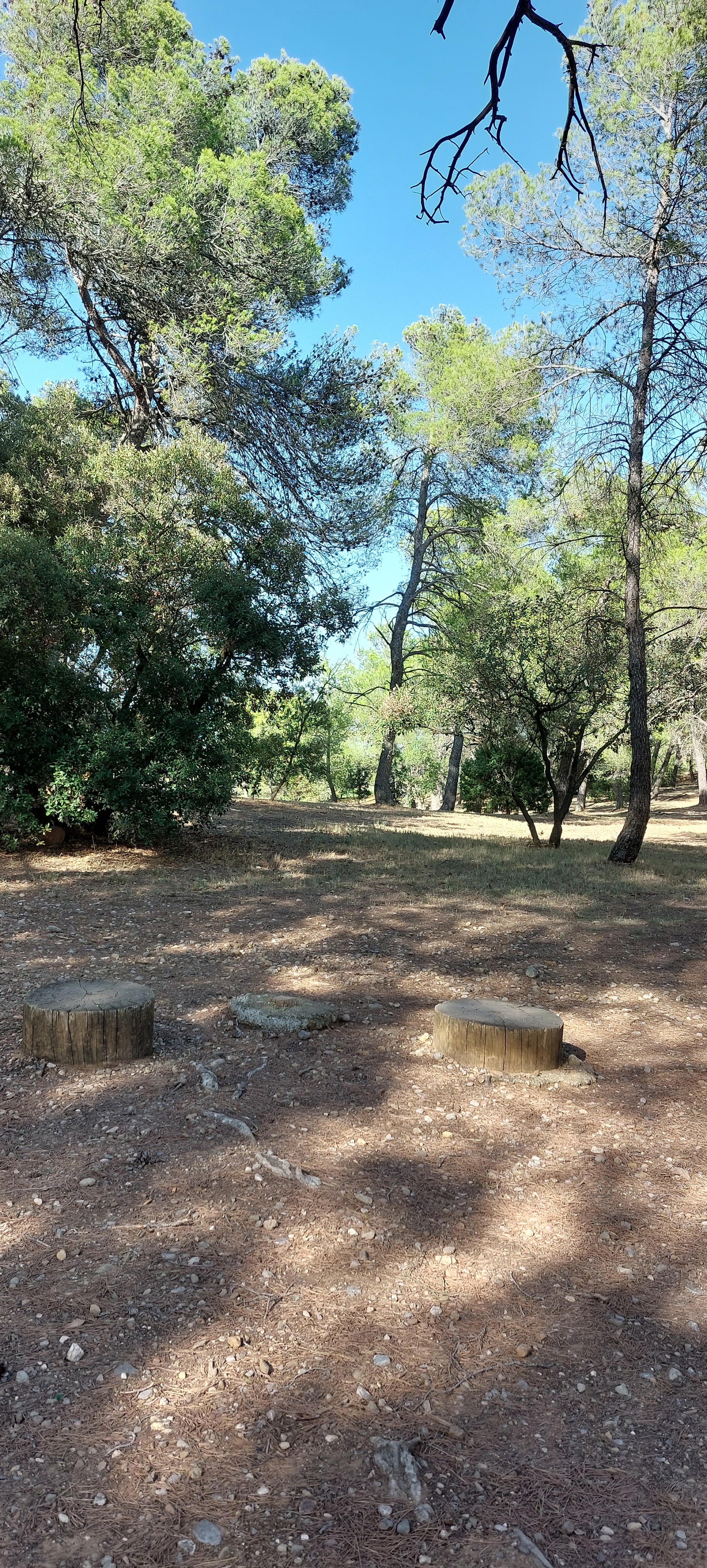 Photo n° 1 de l'avis de martine.a fait le 27/08/2023 à 20:58