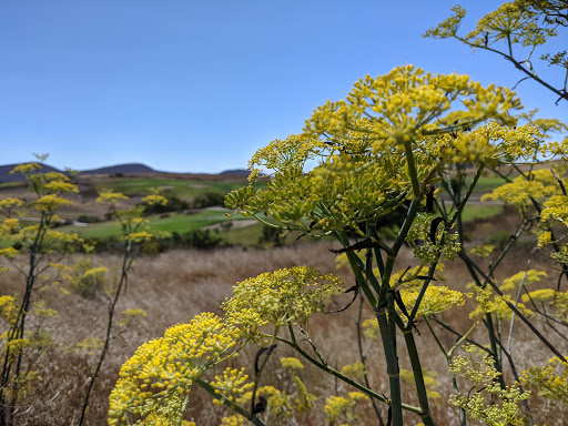 Golf Course «Dairy Creek Golf Course», reviews and photos, 2990 Dairy Creek Rd, San Luis Obispo, CA 93405, USA