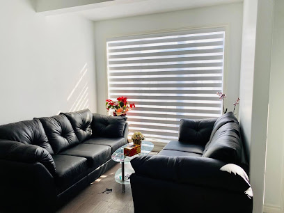 Spectra Blinds