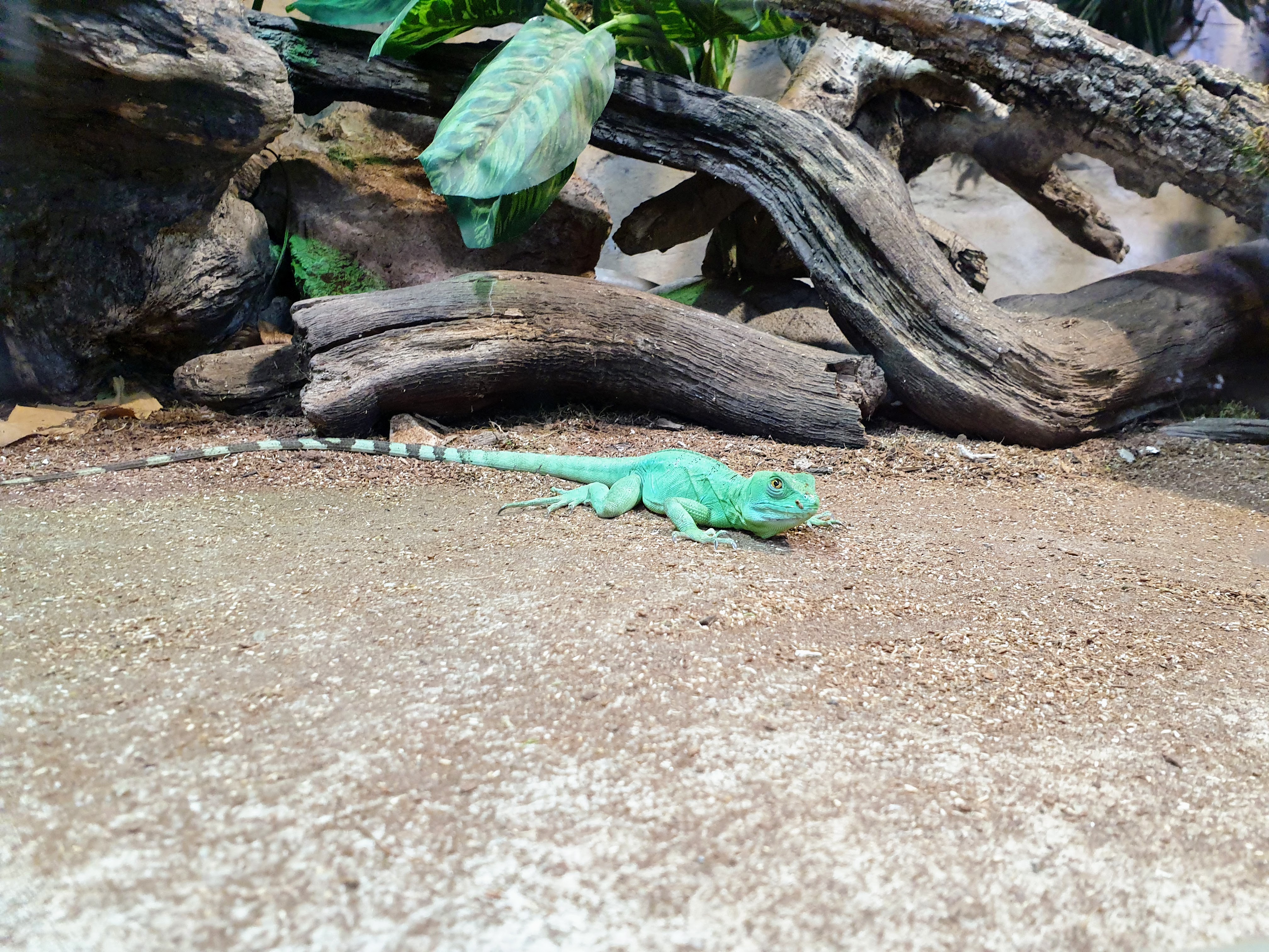 Photo n° 1 de l'avis de Anais.a fait le 01/03/2023 à 07:18