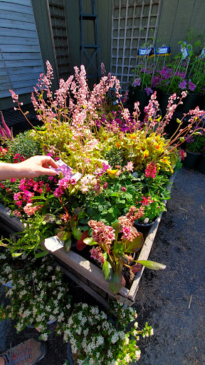 Plant Nursery «Colonial Gardens», reviews and photos, 745 Schuylkill Rd, Phoenixville, PA 19460, USA