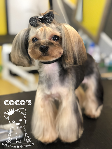 Coco's Dog Salon & Grooming