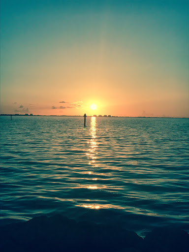 Performing Arts Theater «Van Wezel Performing Arts Hall», reviews and photos, 777 N Tamiami Trail, Sarasota, FL 34236, USA